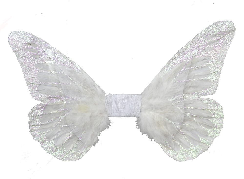 Picture of White Butterfly Wings 12in