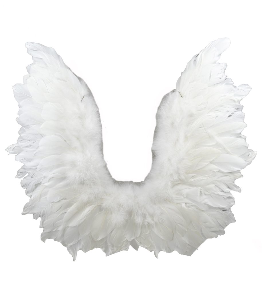 Picture of White Wings with Lace 17in