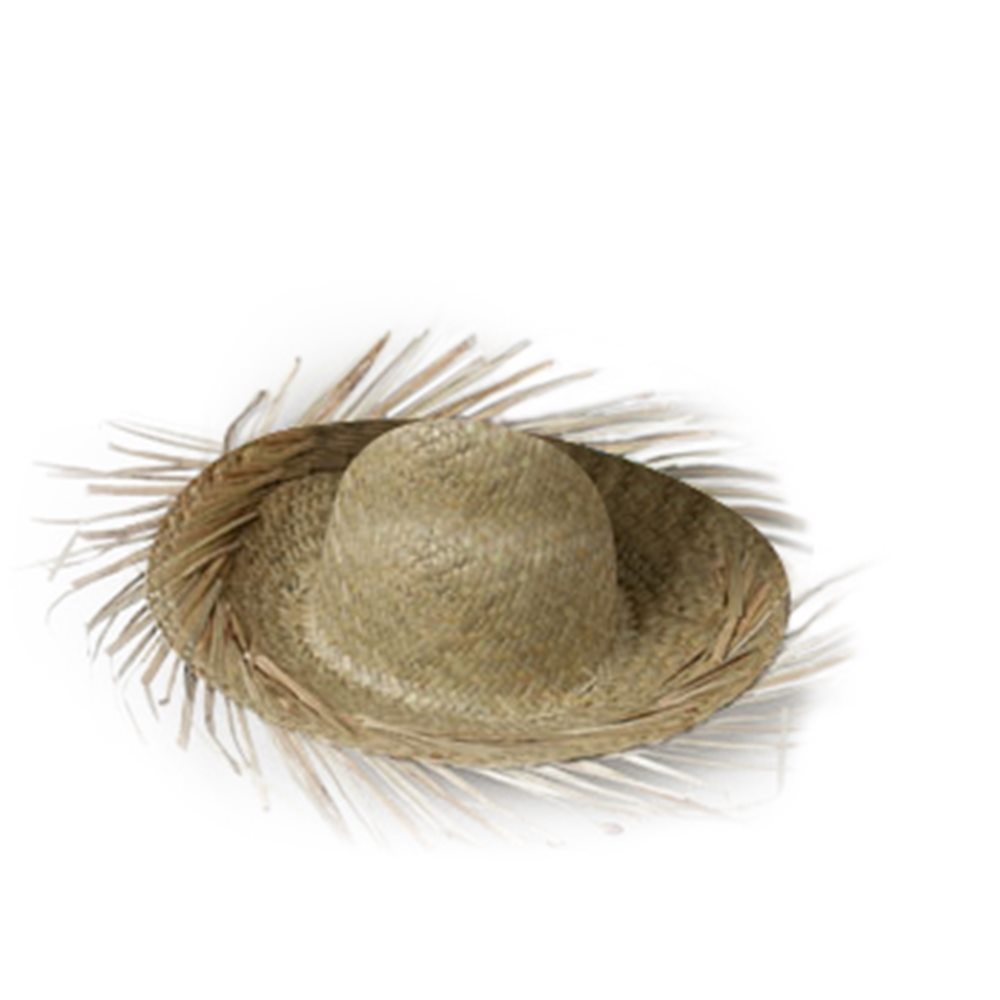 Picture of Straw Beachcomber Hat