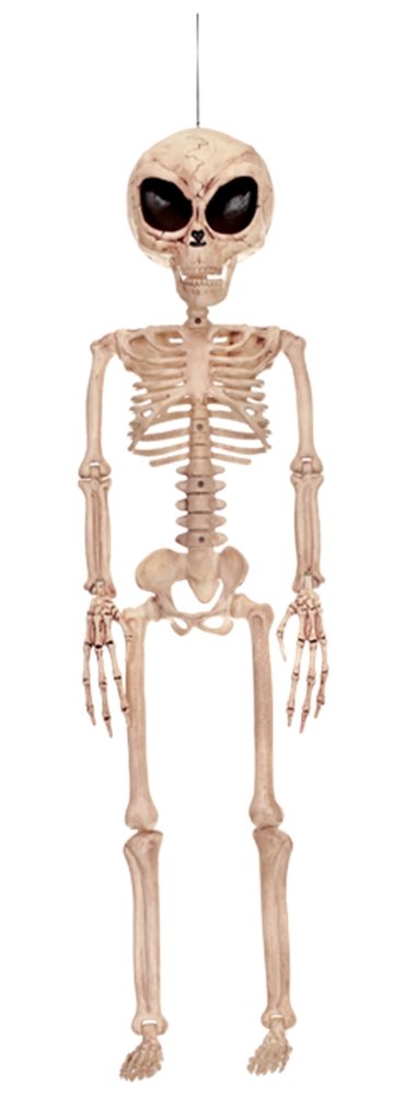 Picture of Extraterrestrial Alien Skeleton Prop 37in