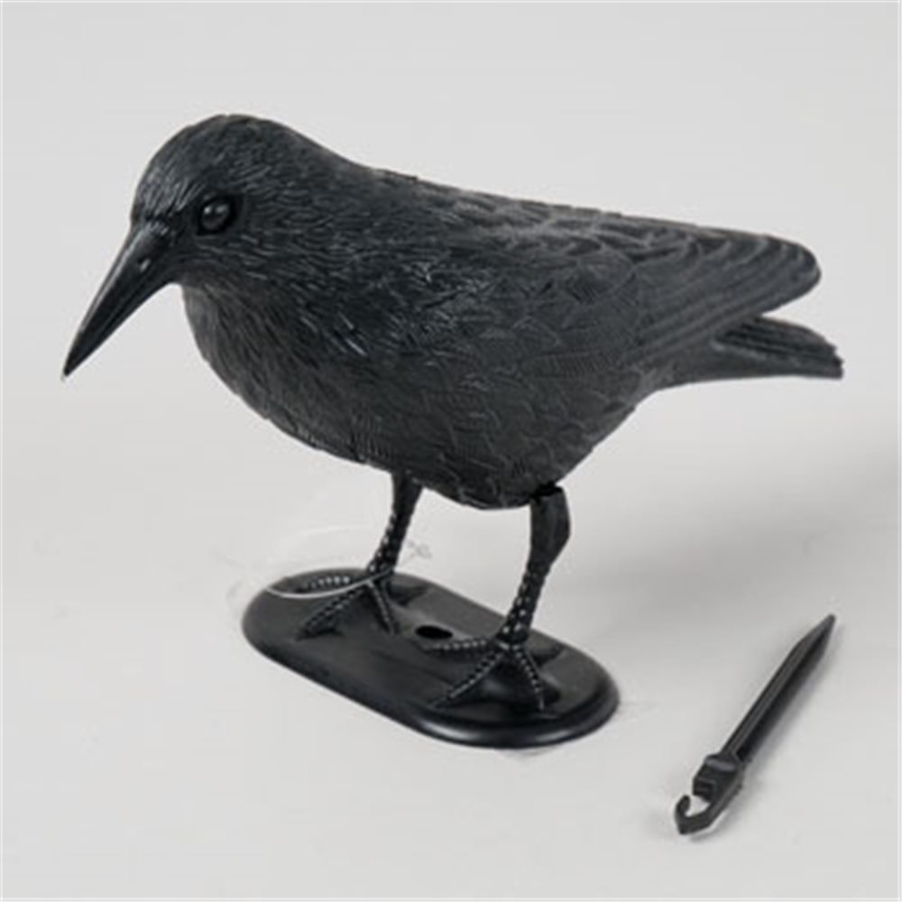 Picture of Black Crow with Stake
