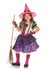 Picture of Colorful Cat Witch Child Costume