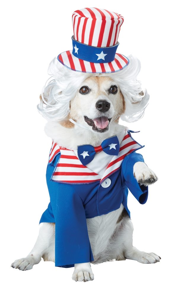Picture of Uncle Sam Pup Pet Costume