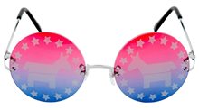 Picture of Democratic Sunglasses
