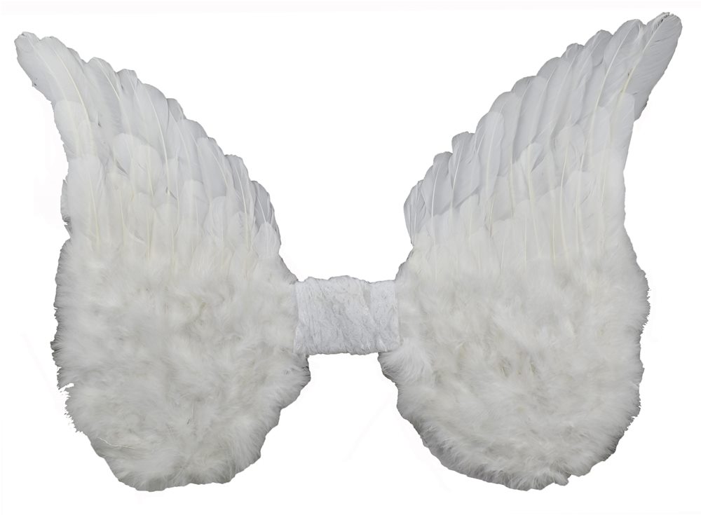 Picture of White Wings with Lace 15in