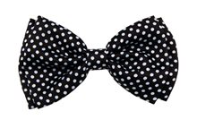 Picture of Black & White Polka Dot Bow Tie