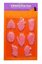 Picture of Stretchy Body Parts Party Favors 8ct