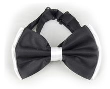 Picture of Black & White Two-Tone Bow Tie