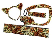 Picture of Sexy Leopard Adult Accessory Set
