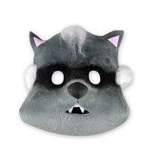 Picture of Raccoon Mask