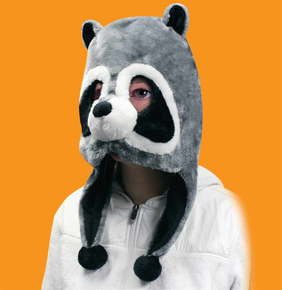 Picture of Raccoon Plush Mask