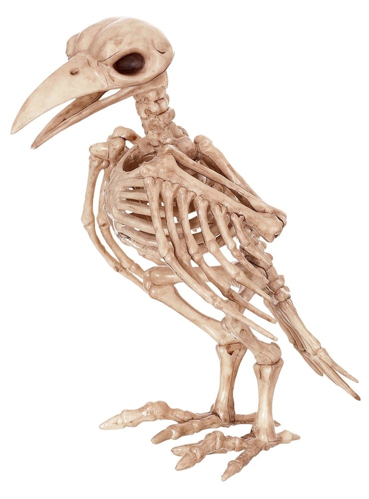 Picture of Skeleton Raven Prop