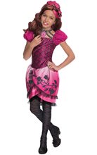 Picture of Ever After High Briar Beauty Child Costume