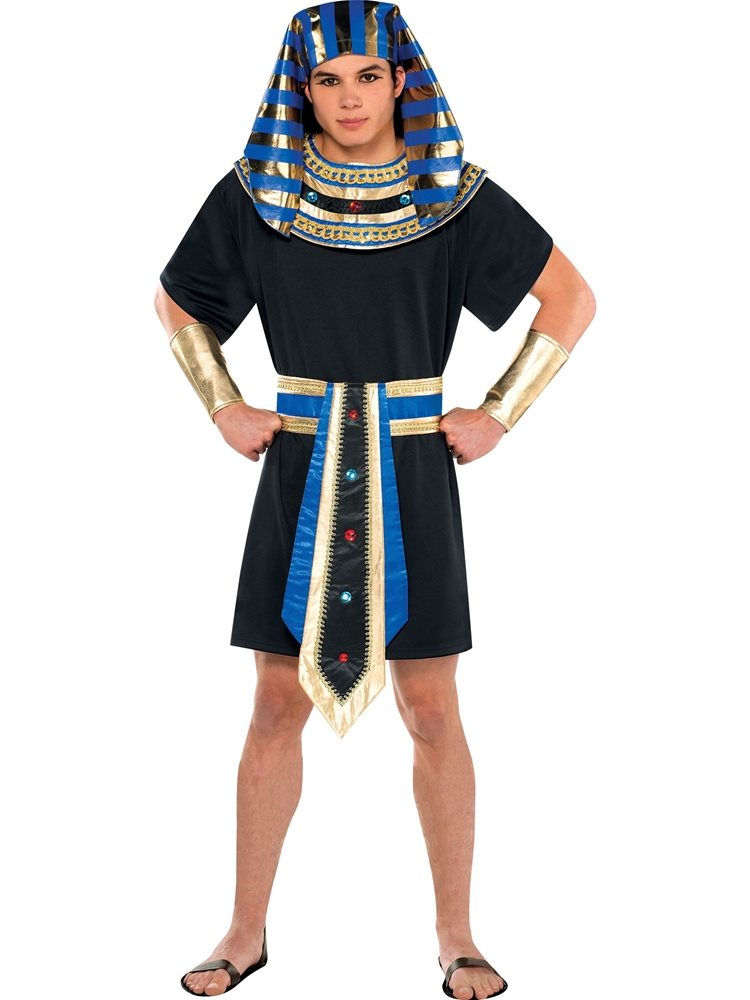 Picture of Egyptian Male Adult Mens Costume