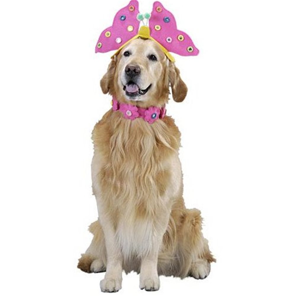 Picture of Cute Lil' Butterfly Pet Costume