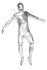 Picture of Silver Adult Unisex Skin Suit