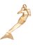 Picture of Gold Mermaid Siren Adult Unisex Skin Suit