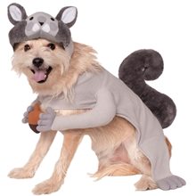 Picture of Squirrel Pet Costume