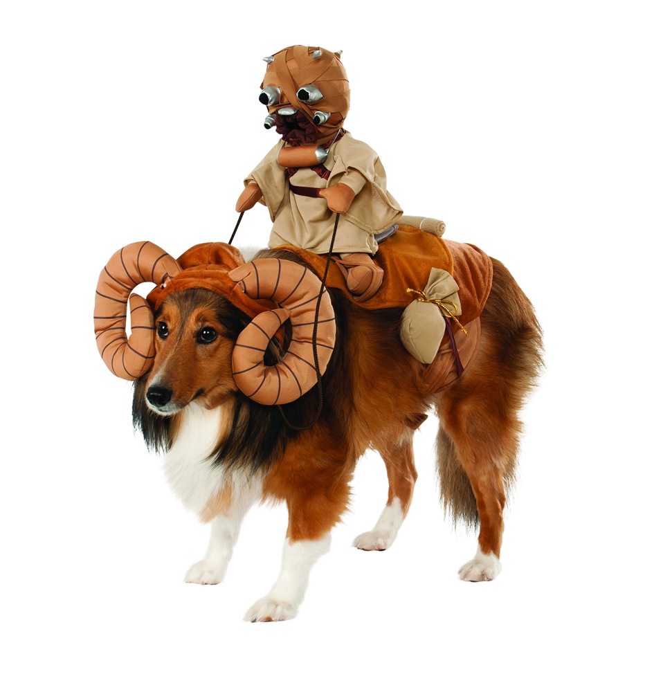 Picture of Star Wars Bantha Rider Pet Costume