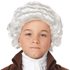 Picture of Colonial Man Child Wig