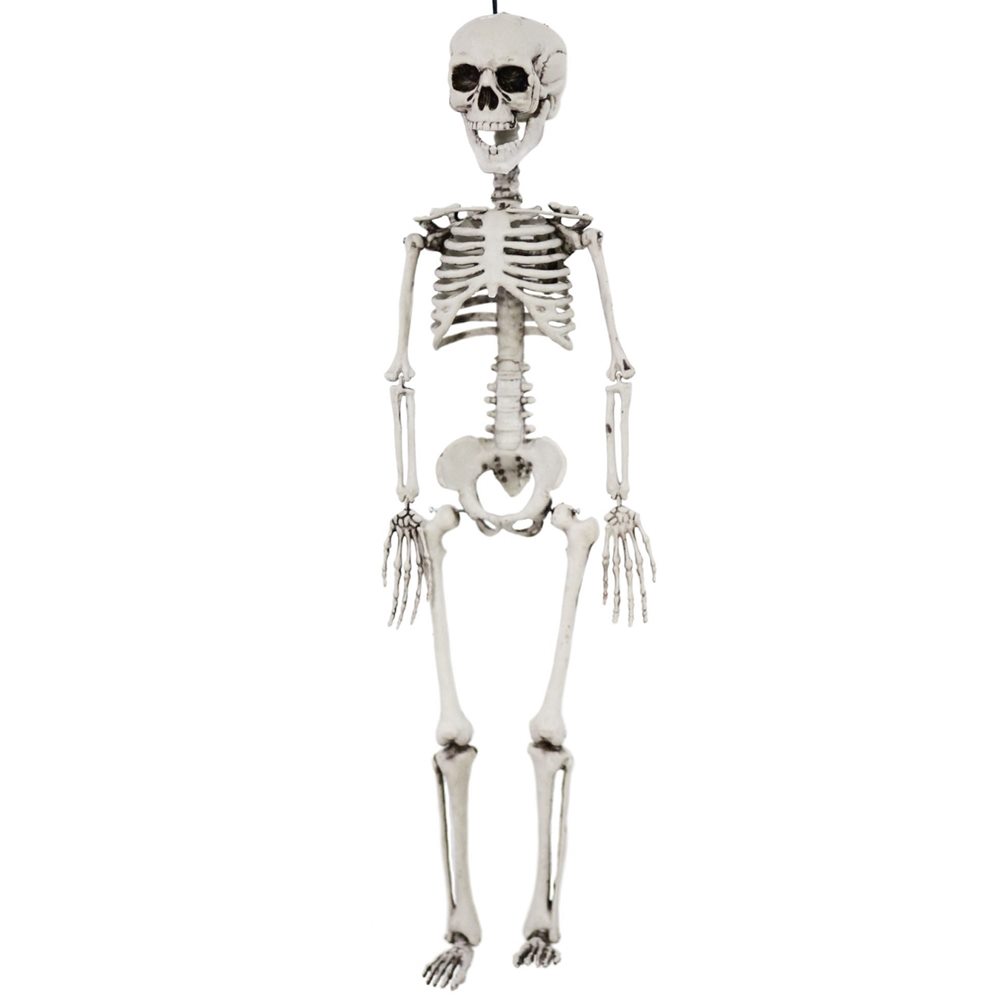 Picture of Realistic Plastic Skeleton 30in