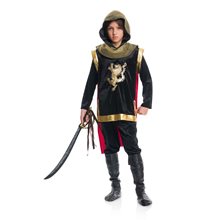 Picture of Glorious Knight Child Costume