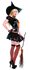 Picture of Sexy Witch Adult Womens Costume