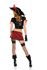 Picture of Sultry Swashbuckler Pirate Adult Womens Costume