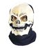 Picture of Skull Sock Adult Mask