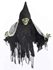 Picture of Hooded Zombie with Banner