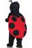 Picture of Baby Ladybug Infant Costume