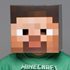 Picture of Minecraft Cardboard Steve Head