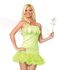 Picture of Pixie Dust Fairy Adult Womens Costume