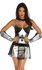 Picture of Knight of Honor Adult Womens Costume