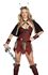 Picture of Ms. Viking Warrior Adult Womens Costume