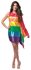 Picture of Rainbow Flag Dress Adult Womens Costume