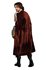 Picture of Dragon Warrior King Adult Mens Costume