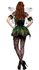 Picture of Absinthe Fairy Adult Womens Costume