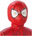 Picture of Ultimate Spider-Man Deluxe Child Costume