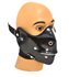 Picture of Shiny Deluxe Black Mouth Mask