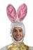 Picture of Easter Bunny Deluxe Adult Unisex Costume