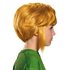 Picture of Zelda Link Child Wig