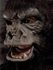 Picture of Two Bit Roar Gorilla Adult Mask