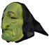 Picture of Flexi-Foam Green Witch Mask