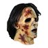 Picture of The Walking Dead Business Suit Walker Mask
