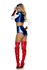 Picture of Pretty Patriot Sexy Hero Adult Womens Costume