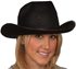 Picture of Cowboy Texan Adult Hat
