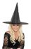 Picture of Esmeralda Witch Hat (More Colors)
