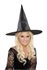 Picture of Esmeralda Witch Hat (More Colors)