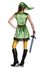 Picture of Zelda Link Dress Teen Costume